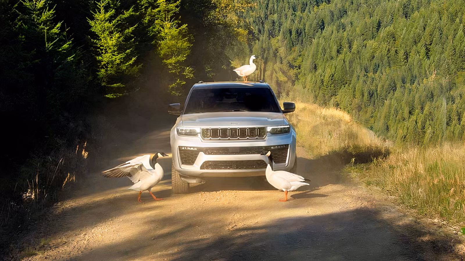 Jeep Recalls 419K Grand Cherokee Models Over Side Airbags That May Not Deploy In A Crash Jeep Recalls 419K Grand Cherokee Models Over Side Airbags That May Not Deploy In A Crash