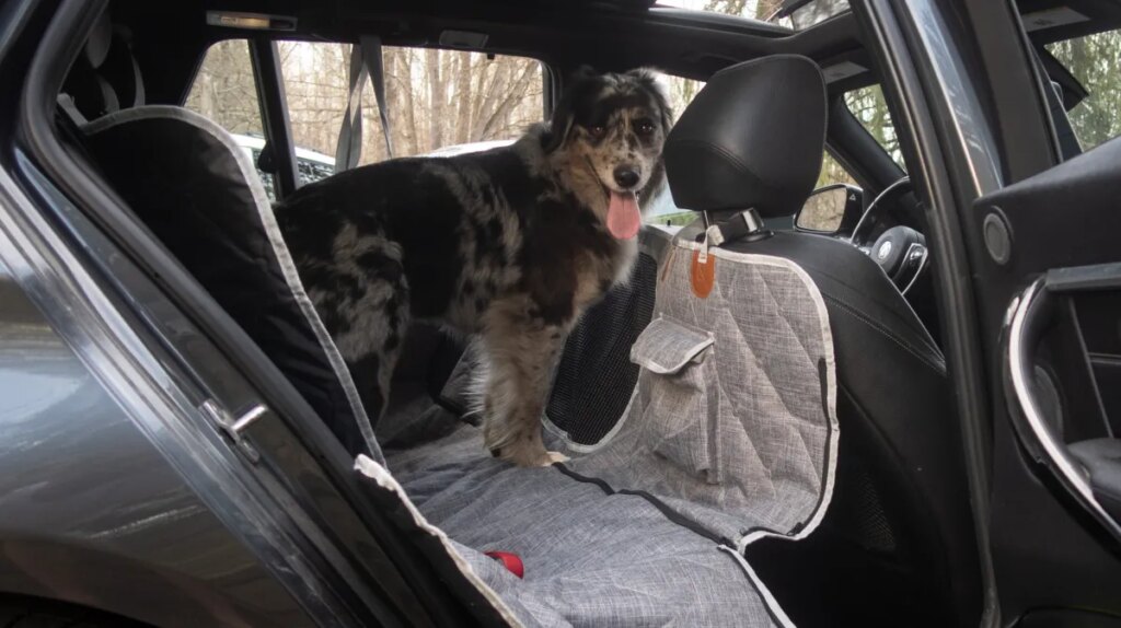 3W Liners’ Dog Seat Cover Is Cleverly Modular—and a Steal on Sale: The Rundown