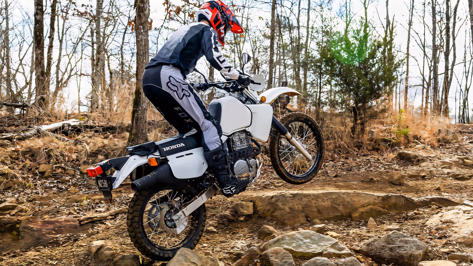The Honda Motorcycle That Quietly Dominates Long-Term Ownership The Honda Motorcycle That Quietly Dominates Long-Term Ownership