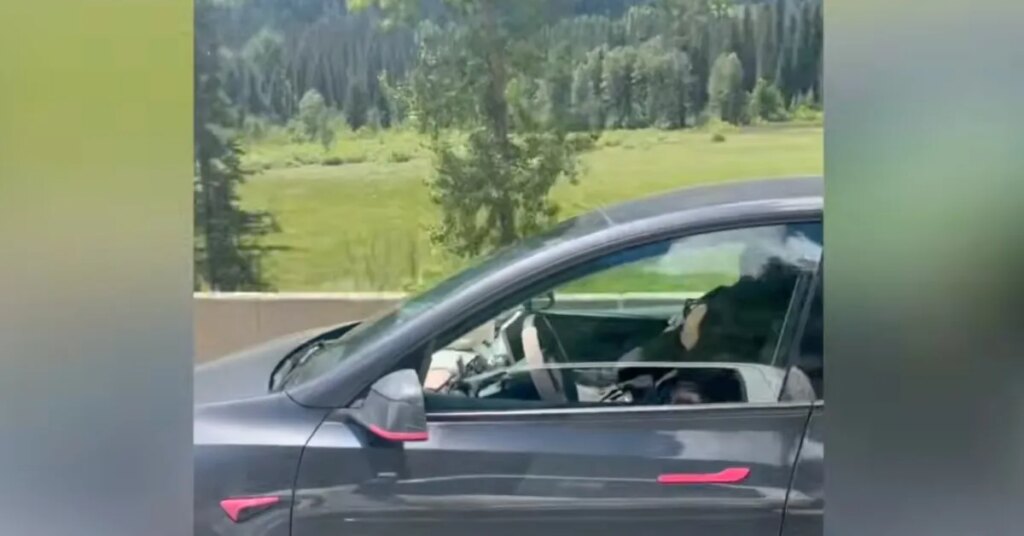 Tesla driver caught asleep at 100 km/h — how monitoring failed