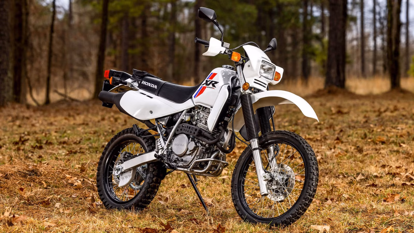 The Motorcycle Built Before Complexity Took Over The Motorcycle Built Before Complexity Took Over