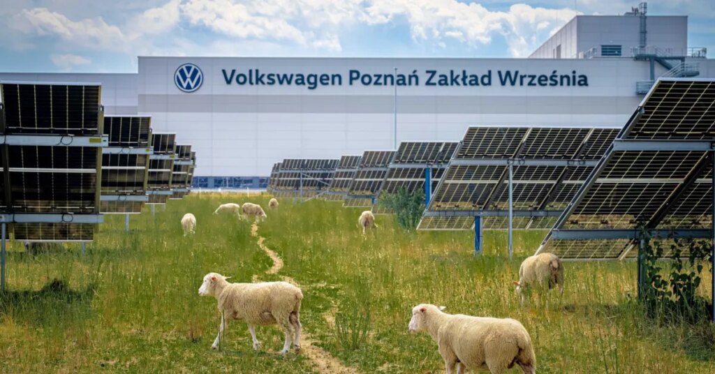 Volkswagen put 100 sheep to work under 31,000 solar panels