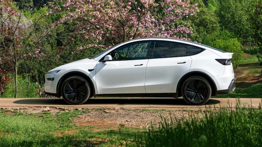 White Tesla Model Y shown in side profile on a tree-lined road.