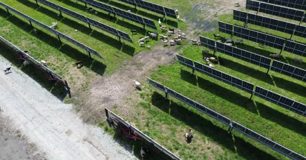 Do wind and solar farms tank home values? A 20-year study has an answer Do wind and solar farms tank home values? A 20-year study has an answer